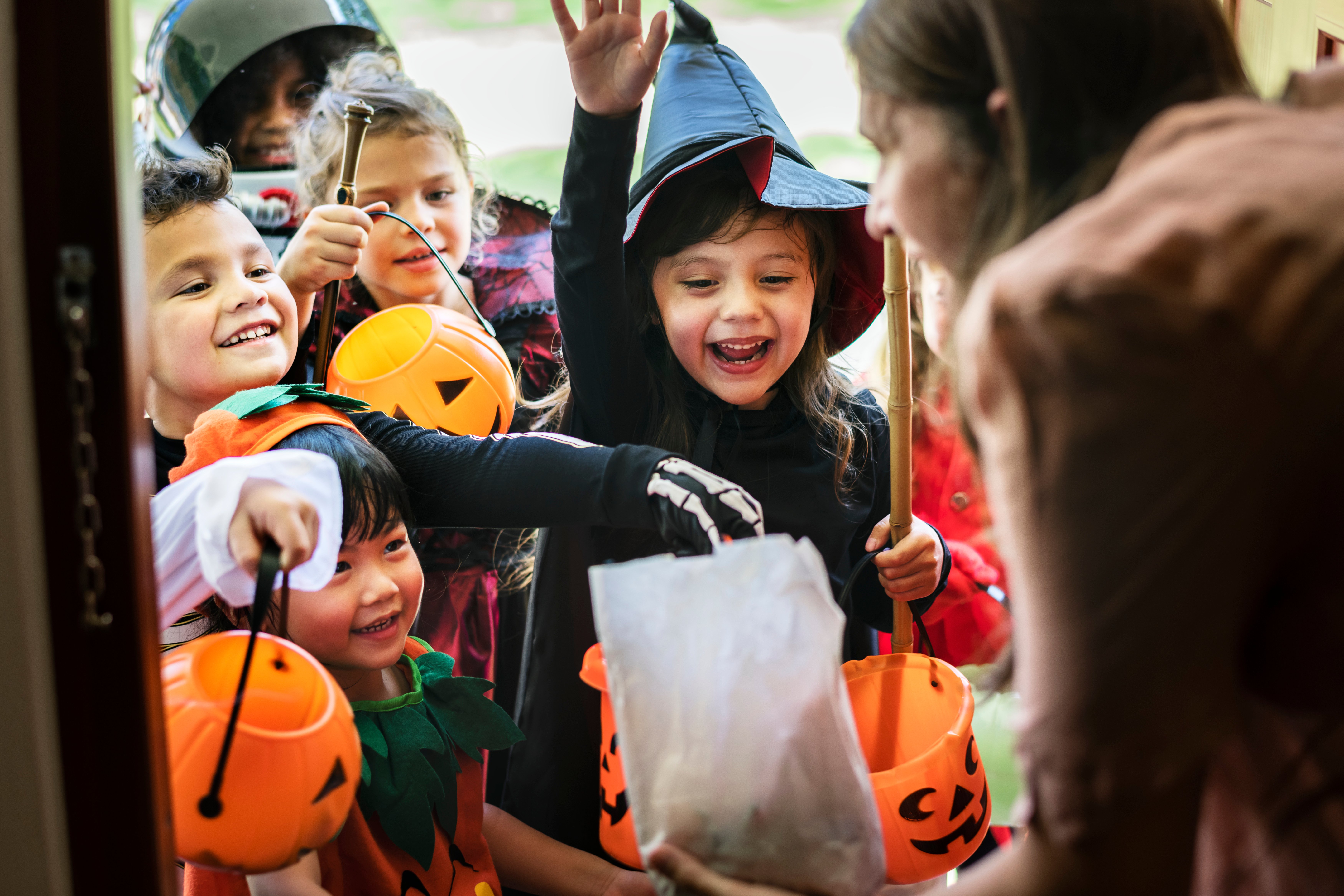 Pleine vie (Oct 2024) - Halloween 2024 : les Français se laissent de plus en plus séduire par cette fête païenne née en Irlande